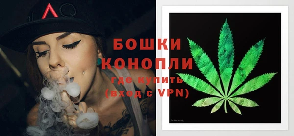 Альфа ПВП Протвино