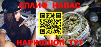 гидра Рязань