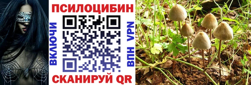 Галлюциногенные грибы Psilocybine cubensis  MEGA ONION  Тутаев 