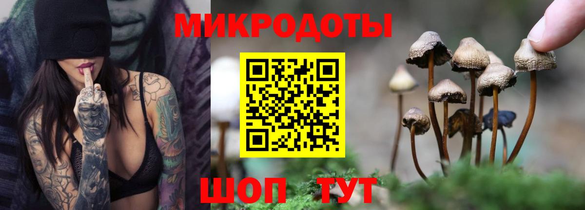 Тутаев  купить наркотики сайты  Вход с VPN  Галлюциногенные грибы Magic Shrooms 