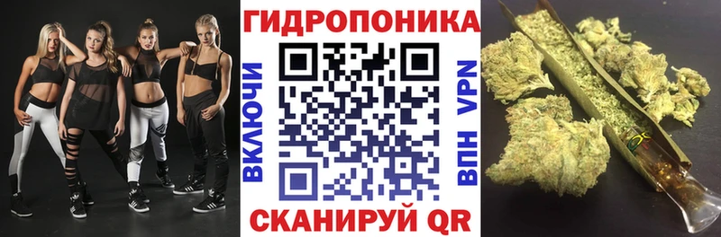 мега сайт  Тутаев  Канабис семена 
